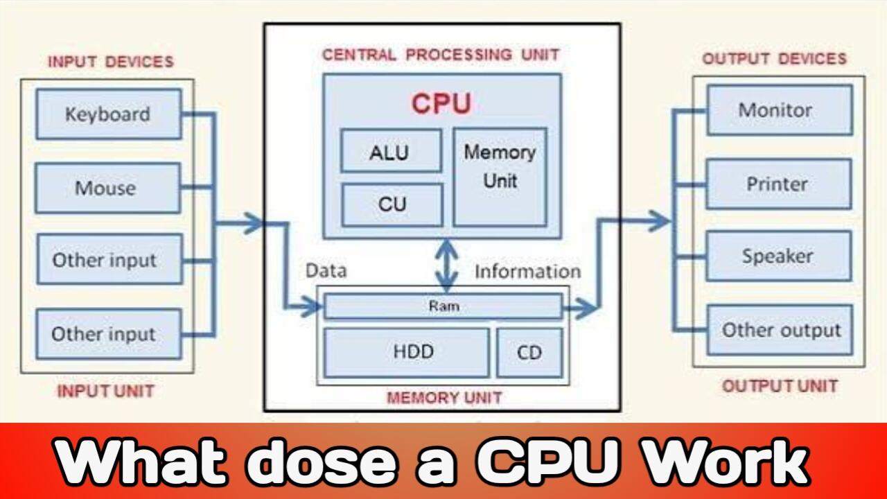 How does a CPU work? The CPU working process explained simply.