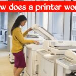 How does a printer work? How are photos and text printed on paper