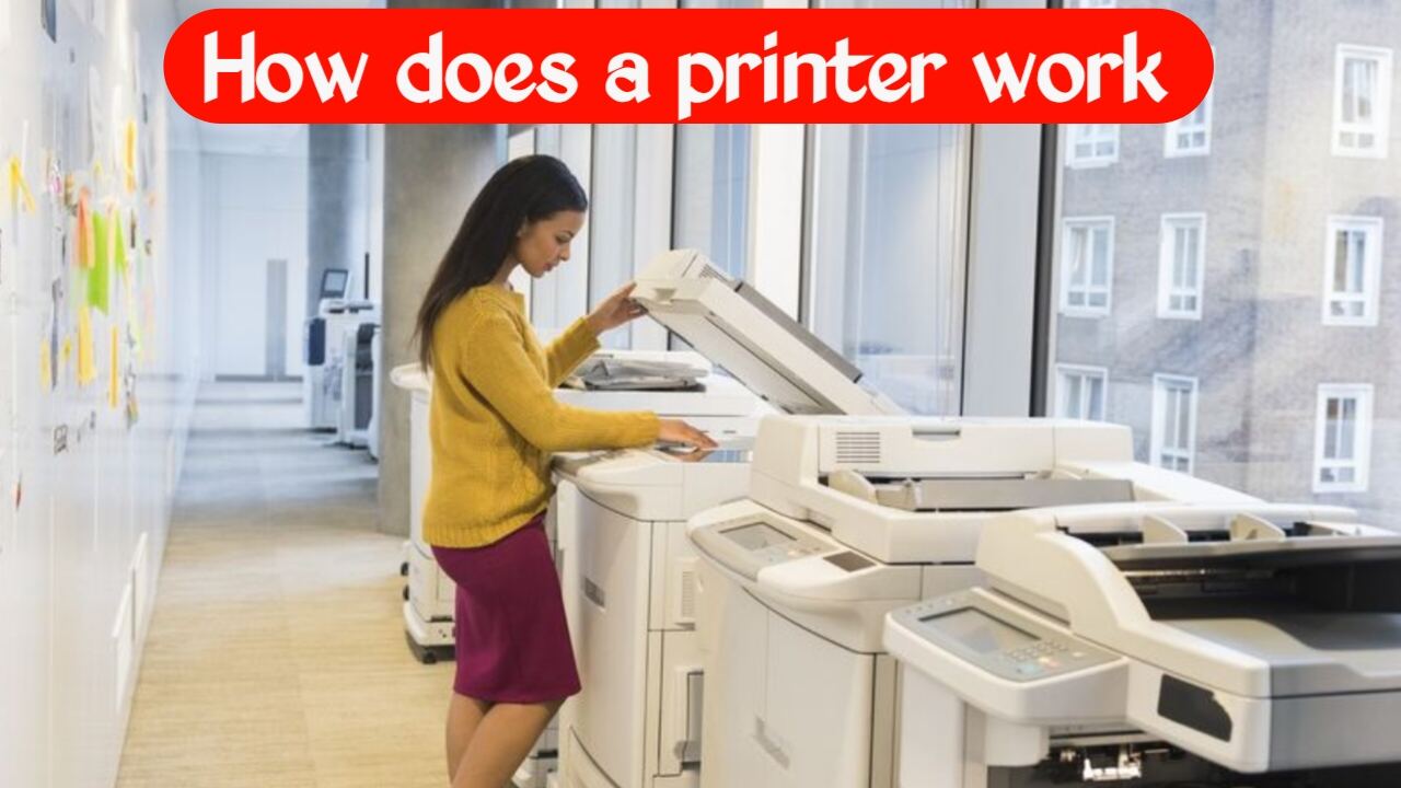 How does a printer work? How are photos and text printed on paper