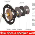 How does a speaker work? How is sound created from an electrical signal