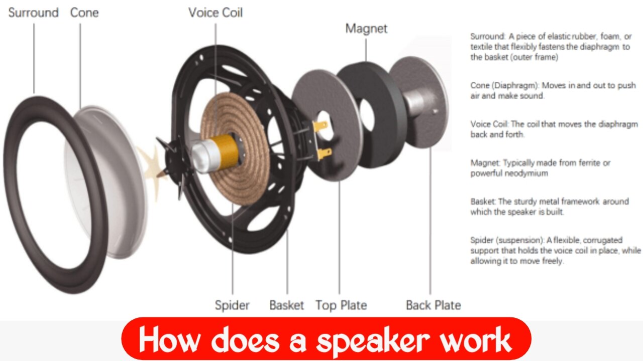How does a speaker work? How is sound created from an electrical signal