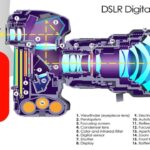 How does a camera work? A complete guide from the lens to the digital image