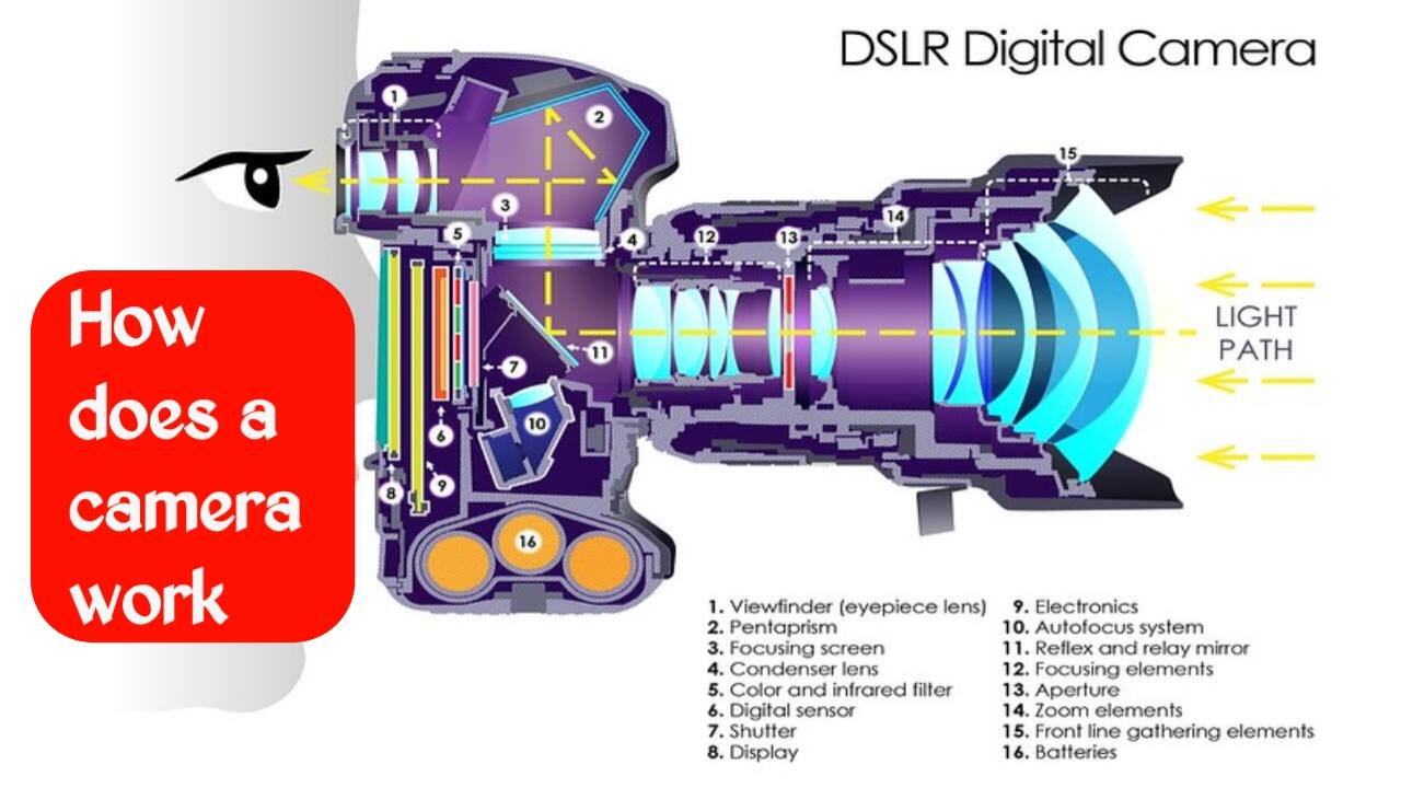 How does a camera work? A complete guide from the lens to the digital image