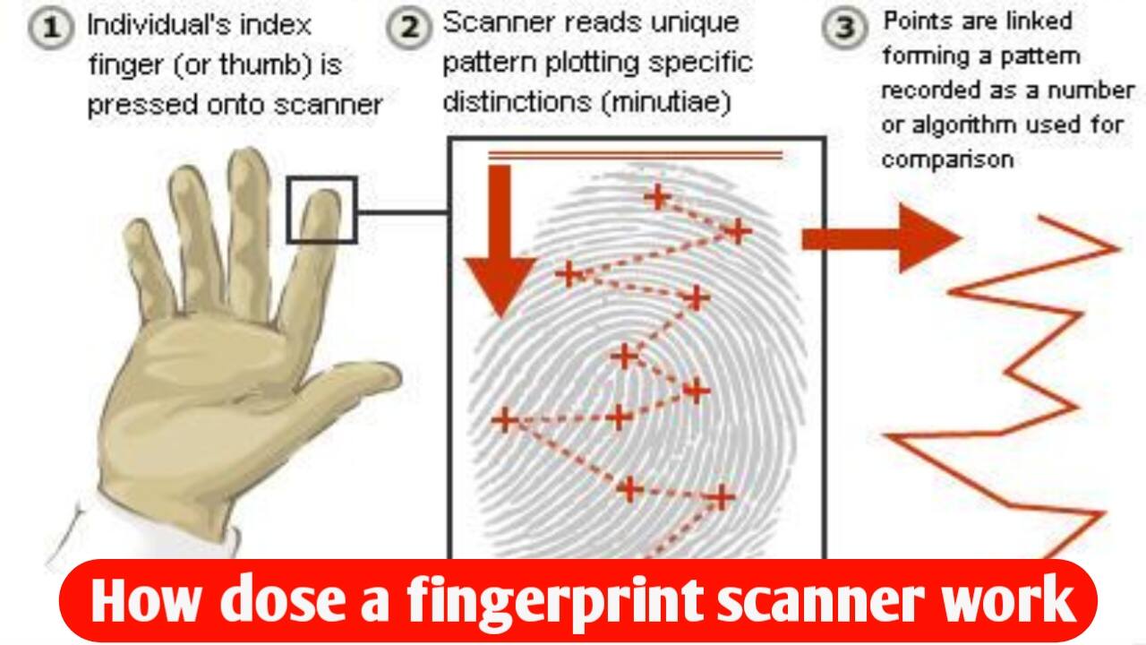 How does a fingerprint scanner work? The technology inside a smartphone